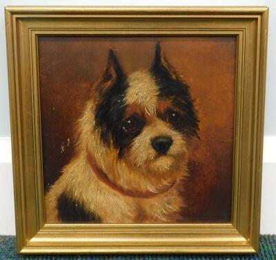 19thC Continental School. Portrait of a dog - 2