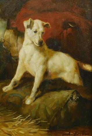 A Bratton (19thC). Terrier dog