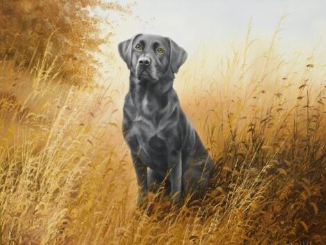 David Waller (b.1945). Black Labrador