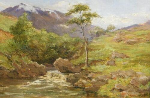 M H Coats (20thC). Mountain stream