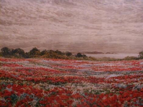 W Caborne. Poppy fields