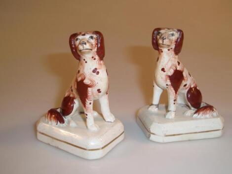 A pair of 19thC pottery seated spaniels with iron red splashes on rectangular