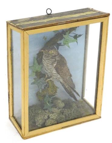 A 20thC taxidermy study of a Song Thrush