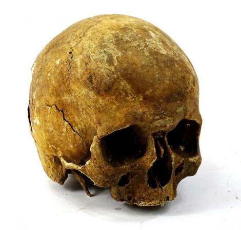 An 18thC human skull