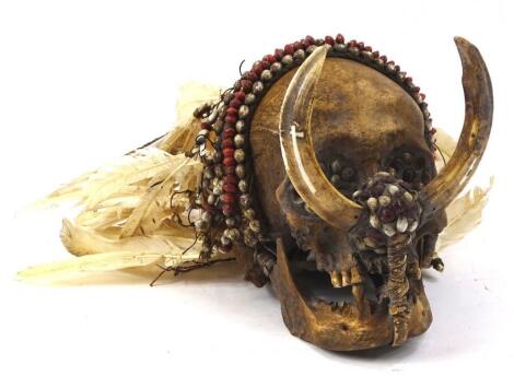 An Asmat tribal skull