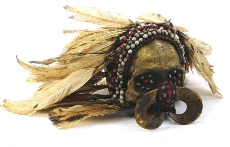 An Asmat tribal skull