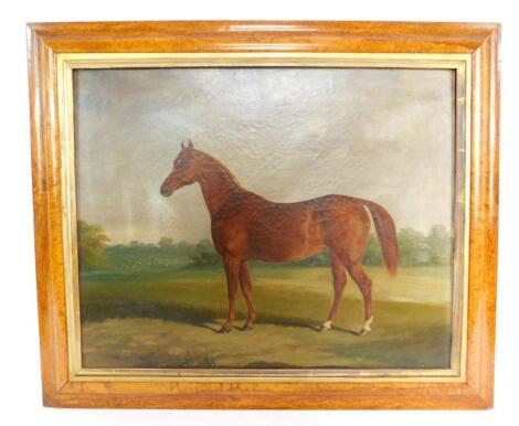 John Barwick (act. 1839-1870). Brown gloss horse in a field