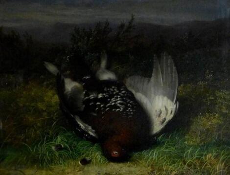 Abel Hold (1815-1891). Red Grouse in moorland heather