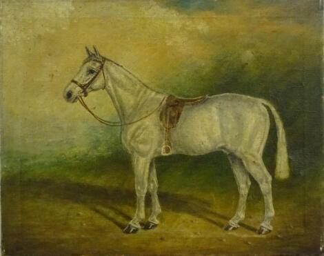 19thC British School. Study of a horse