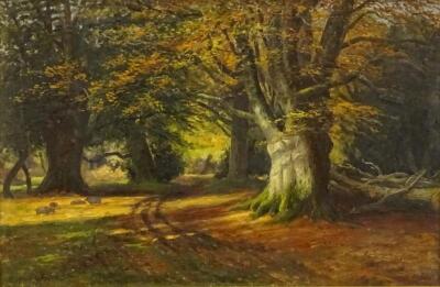 Sydney M Broad (1853-1942). Woodland track