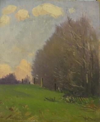 Herbert Rollett (1872-1932). Woodland landscape
