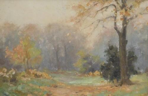 Herbert Rollett (1872-1932). Woodland scene