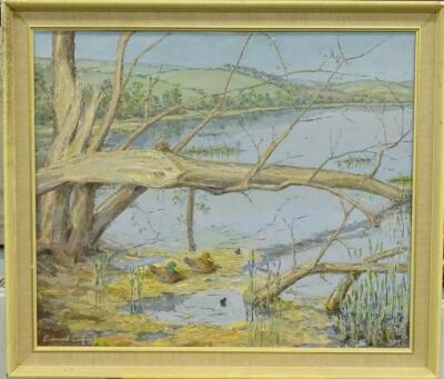 Bernard Cooper. Lake scene - 2