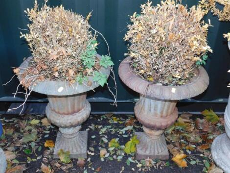 A pair of cast iron urns