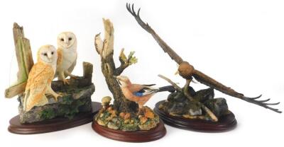 Three Border Fine Arts birds