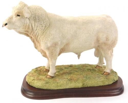 A Border Fine Arts limited edition Charolais bull