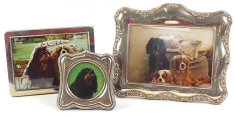 A collection of photograph frames