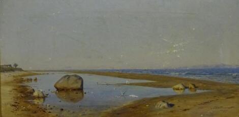 J P Von Vildenradt (1861-1904). Rocky beach with seagulls and shipping in the distance