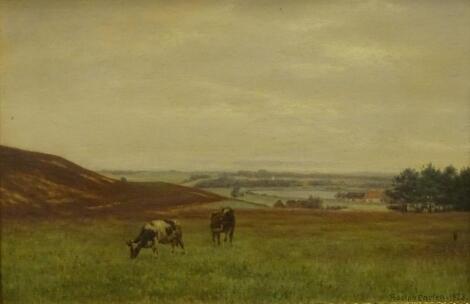 Adolph Alfred Larsen (1856-1942). Cow grazing in open landscape
