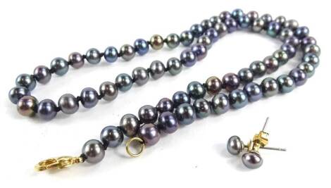 A string of black pearls, with gold coloured clasp, 45cm L, and a pair of matching earrings.