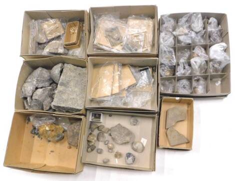 A large quantity of fossilized shells, crustaeans etc. (8 boxes)