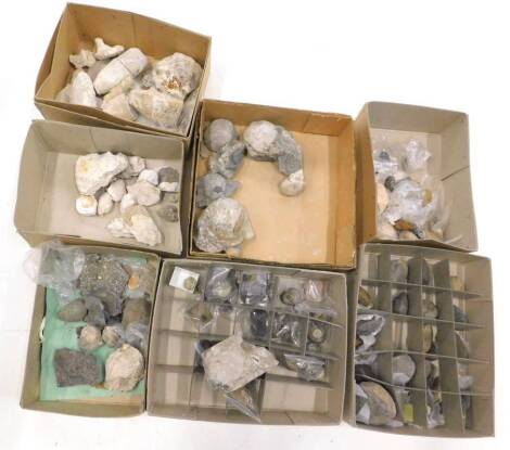 A quantity of fossilized shells, crustaceans and other items. (7 boxes)