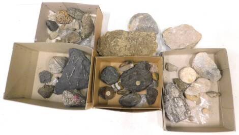 A quantity of fossilized shells, crustacean, plant life etc. (6)