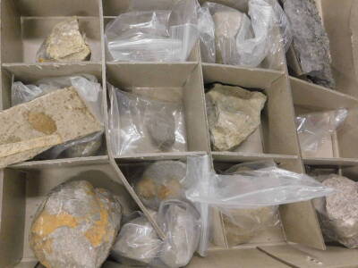 A quantity of fossils, to include partial ammonite's, sea urchins etc. (8 boxes) - 4