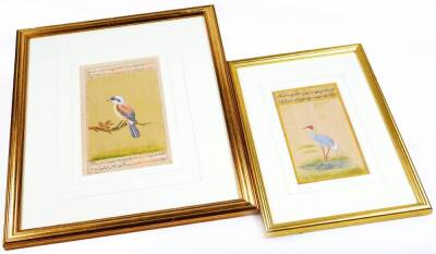 19thC Middle Eastern School. Stork in a naturalistic setting, mixed media, signed, 18cm x 11cm, and another bird on branch, watercolour, signed and annotated. (2)