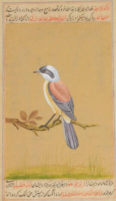 19thC Middle Eastern School. Stork in a naturalistic setting, mixed media, signed, 18cm x 11cm, and another bird on branch, watercolour, signed and annotated. (2) - 2