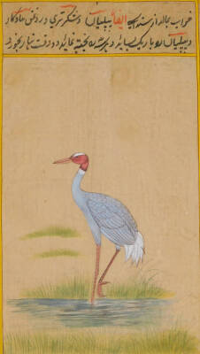 19thC Middle Eastern School. Stork in a naturalistic setting, mixed media, signed, 18cm x 11cm, and another bird on branch, watercolour, signed and annotated. (2) - 3