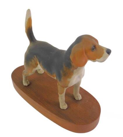 A Beswick matt pottery figure of a Champion Beagle, Wendover Billy, raised on an oval wooden stand, printed mark.