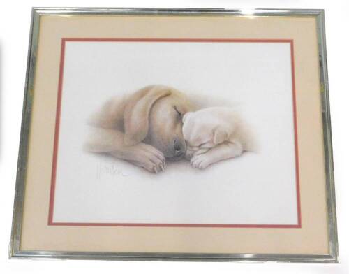 After Harrison. Dog and her puppy, coloured print, 40cm x 50cm.