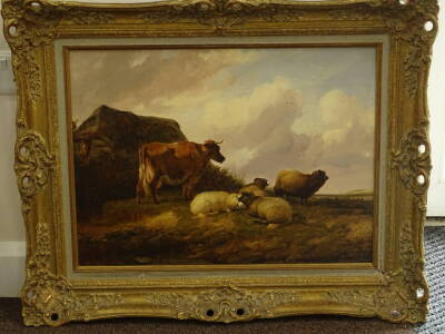 Thomas Sidney Cooper (1803-1902). Sheep and cattle in pasture landscape, oil on board, signed, 43.5cm x 59cm. - 2