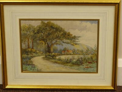 E. Cooke (19thC). Country Lane, watercolour, signed, 21cm x 28.5cm. - 2