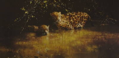 David Shepherd (1931-2017). Jaguars, artist signed limited edition coloured print 704/1500, 38.5cm x 61cm.