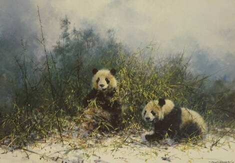 David Shepherd (1931-2017). The Pandas of Wolong, artist signed limited edition coloured print 593/1500, 52cm x 69.5cm.