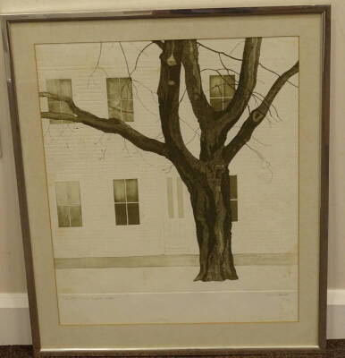 Tessa Beaver (b.1932). New England Maple, artist signed coloured etching 134/175, 61cm x 51cm. - 2