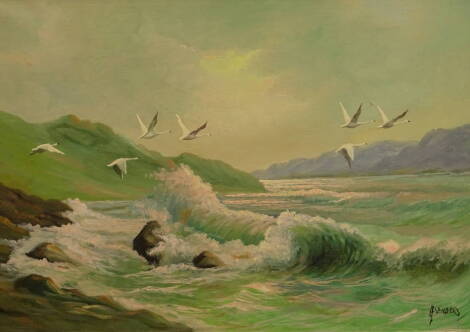 A. Sanders (20thC). Flight over coast, oil on canvas, signed, 49.5cm x 70cm.