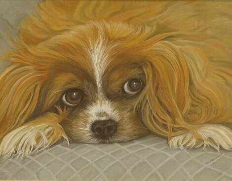 Ann Hopewell (20thC). Heidi, pastel, signed and titled, 45cm x 57cm. Artist label verso.