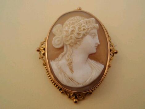 A shell cameo of woman's head in yellow metal frame