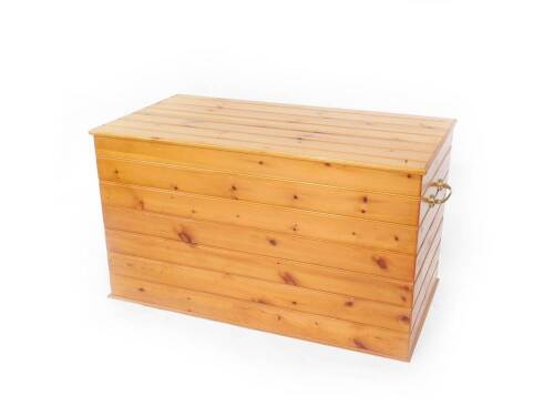 A pine chest, with a pair of brass carrying handles, of panelled rectangular form, 62cm H, 109cm W, 56cm D.