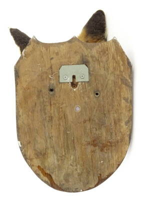 A taxidermied fox trophy, fox's head and neck mount, on an ebonised shield, 34cm H. - 3