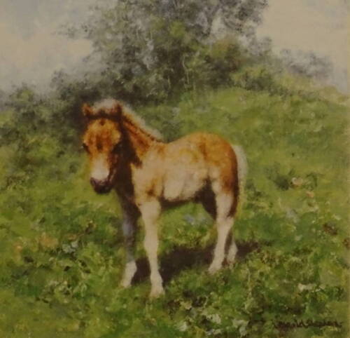 •David Shepherd (1931-2017). When I grow up I want to be a cart horse, artist signed limited edition coloured print 442/1500, 21cm x 19cm.