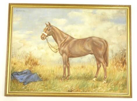 Rona Alexander (20thC). Study of a horse 'JH', oil on board, signed, 55cm x 74.5cm.