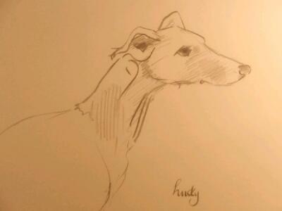 Mark Huskinson. Pencil study of greyhound head