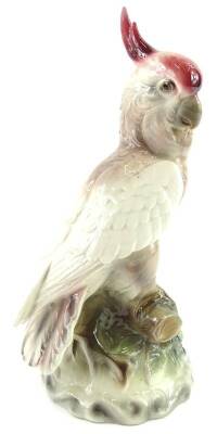 An Austrian pottery figure of a parakeet, with a red head on a naturalistic model base, 27cm H.