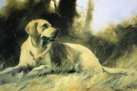 After John Trickett. Golden retriever in a forest setting, artist's signed limited edition print, numbered to the mount, 30cm x 45cm.