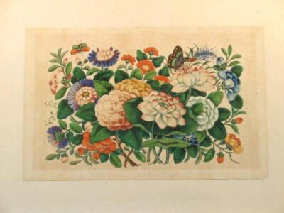 Four 19thC Chinese paintings on rice paper of flowering chrysanthemums - 4