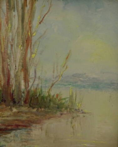 G. Vecchione (?) 20thC. River Vulturno, oil, indistinctly signed and inscribed verso, 31cm x 21cm.